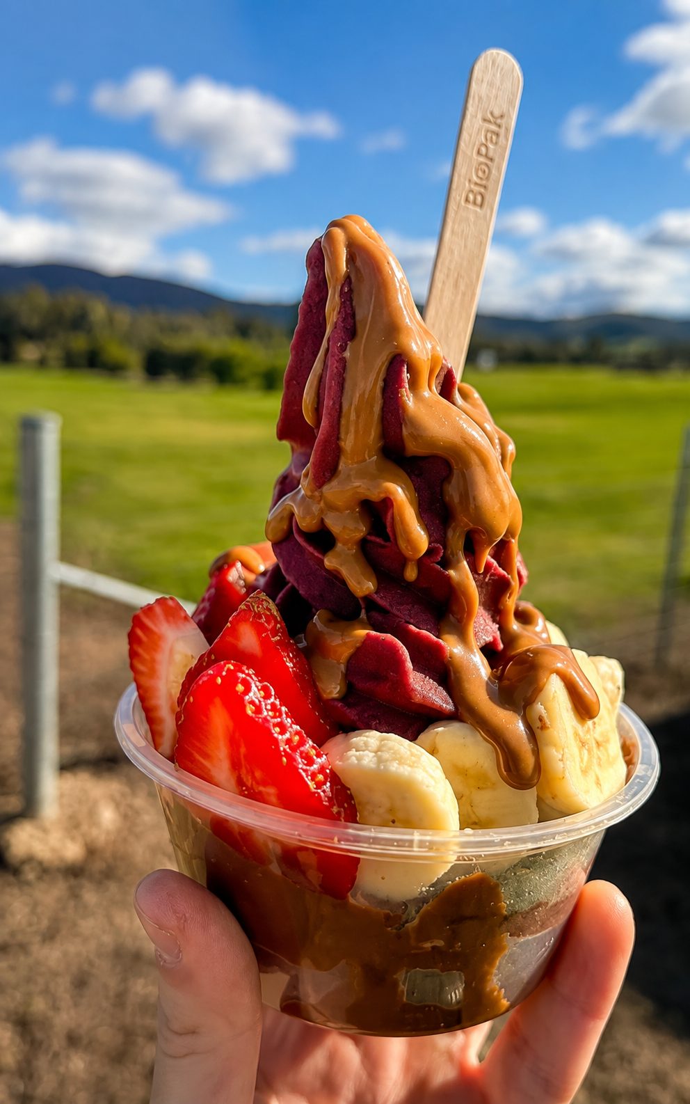 An açaí bowl with Biscoff drizzle, strawberry and banana, held up in a paddock